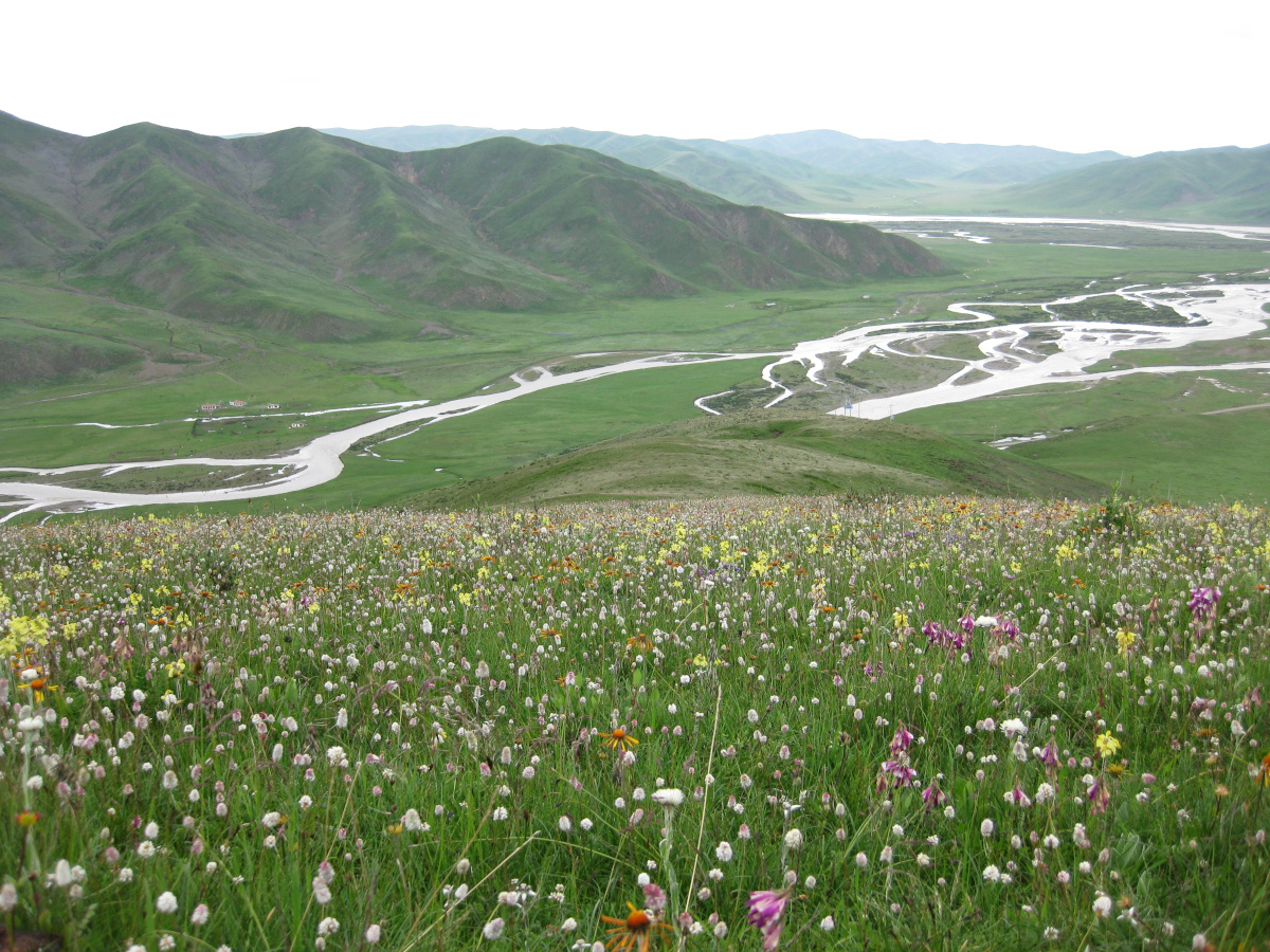 Maxwell Fazio's "Machu River I"