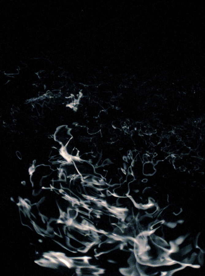 Maxwell Fazio's "Water Reflecting Candlelight II"