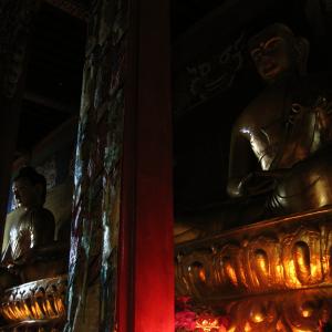 Maxwell Fazio's "Buddha Sakyamuni"