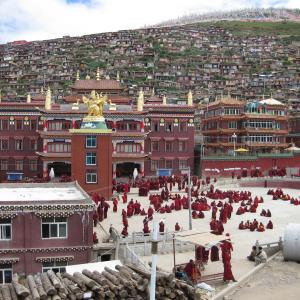 Maxwell Fazio's "Lharong Monastery I"